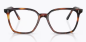 Preview: Oliver Peoples Rasey