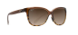 Preview: Sonnenbrille Maui Jim Starfish MJ 744-01T STG-SG Translucent Chocolate with Tortoise