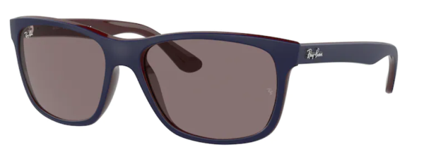 Sonnenbrille Ray Ban 4181 6569/7N