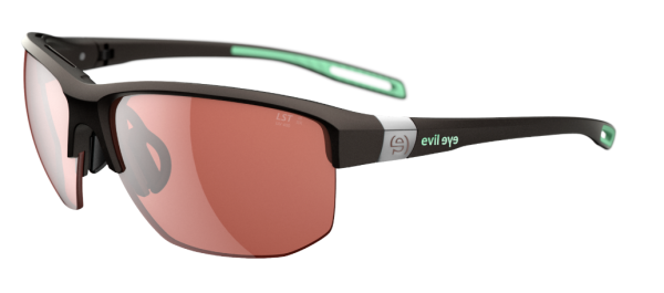 Sonnenbrille evil eye elate.t dark brown metallic LST active silver